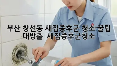 부산 창선동 새집증후군 청소, 꿀팁 대방출! ✨ #새집증후군청소