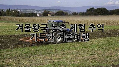 겨울왕국 농촌 체험: 추억 가득한 겨울여행
