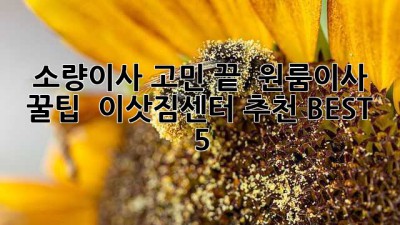 소량이사 고민 끝! ✨ 원룸이사 꿀팁 & 이삿짐센터 추천 BEST 5 🚚